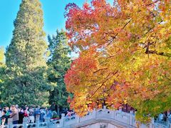 -香山公园-东宫门售票处