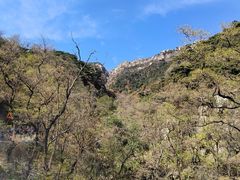 -泰山风景名胜区