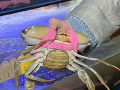-辣螃铠盆盆蟹大排档(海昌店)
