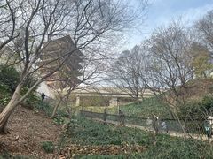 -牛首山文化旅游区