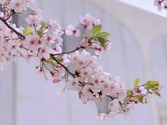 -龙美术馆(西岸馆)