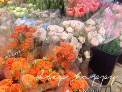 -循礼门鲜花花市(武汉循礼门店)