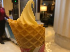 -常州武进九洲喜来登酒店