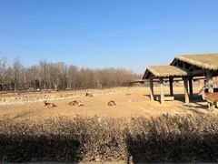 -济南野生动物世界