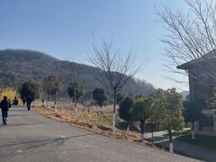 -东庐山观音寺