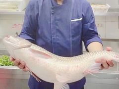-粤凤佬
