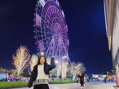 -南昌之星摩天轮