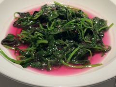 -许家菜(DT51店)
