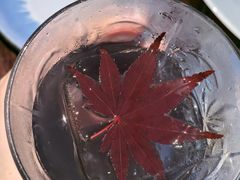 -海角轩·三亚文华东方酒店