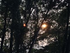 -火炉山森林公园