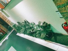 -三强鸽子(中原路店)