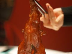 首创昆明BB乳鸭-东富酒家(龙湖西溪天街店)