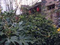 -终南山古楼观历史文化景区