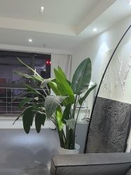 -春田皮肤管理中心品牌旗舰店