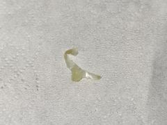 -长乐饼屋(荔湾店)