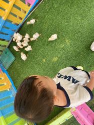 -萌宠亲子动物乐园(槐房万达店)