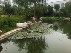 -北京国家会计学院