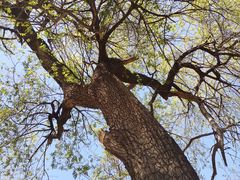 -北京鹫峰国家森林公园