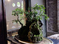 -鱼桥巷·美学川菜