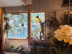 -野草莓自由市场