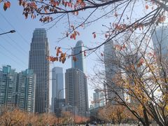 -西北湖绿化广场