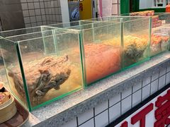 -扎起市井老火锅(乐山总店)