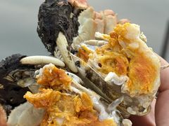 -品鲜村农家菜·阳澄湖大闸蟹(总店)