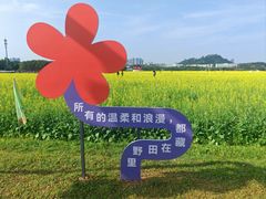 -光明小镇欢乐田园