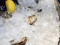 -Oyster Talks 四度蚝法餐厅