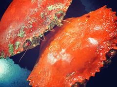 -龙海鲜螃蟹王(宏茂桥店)