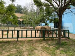 -秦皇岛野生动物园