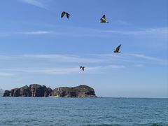 -海驴岛(荣成市)
