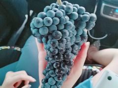 -丹世红酒庄·烧烤·团建·婚礼·水上运动