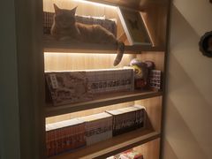 -滚猫咖啡·猫咖·猫友好撸猫(未来城店)
