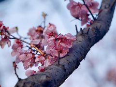 -白塘生态植物园