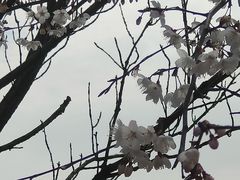 -凤凰沟景区
