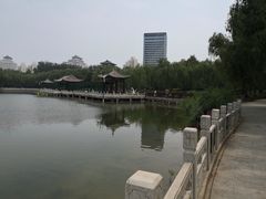 -莲花池公园