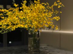 -Seesaw Coffee(上生新所店)