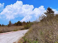 -白草畔自然风景区
