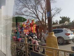 -糖葫芦王保定名吃(古莲花池店)