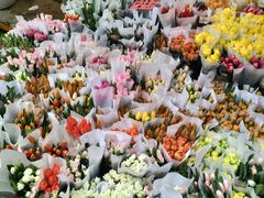 -循礼门鲜花花市(武汉循礼门店)