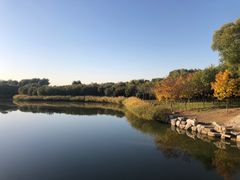 -大兴滨河森林公园