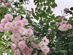 -十堰高级职业学校