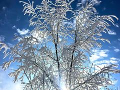 -太子岭滑雪场
