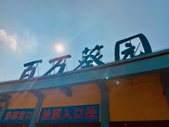-百万葵园