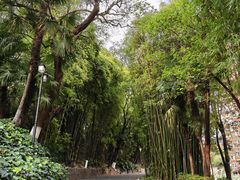-昆明动物园