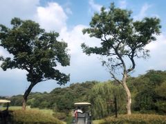 -浙江安吉JW万豪酒店·万豪中餐厅