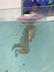 -爱婴室(上海浦建路店)