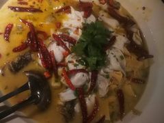 酸菜鱼-渔见·精品川菜·老坛酸菜鱼(大朗店)