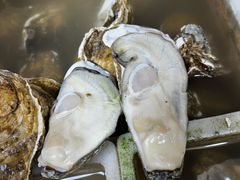 -都斛海鲜街